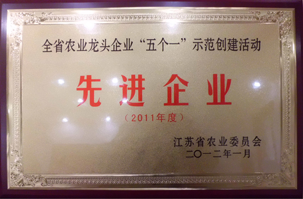 五个一先进企业